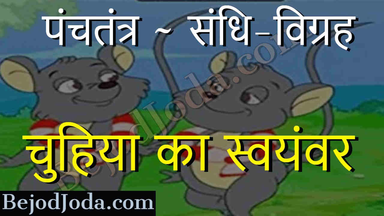 Chuhiya ka swaymvar panchtantra story in hindi